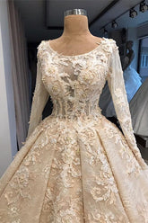 Vintage Champagne Ball Gown Lace Wedding Dress with Long Sleeves